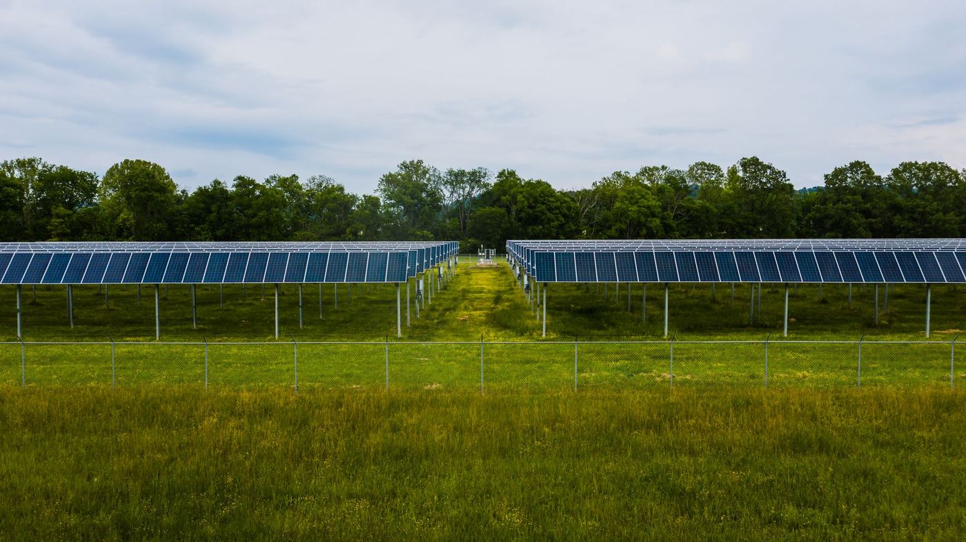 Filas de paneles solares en una planta fotovoltaica